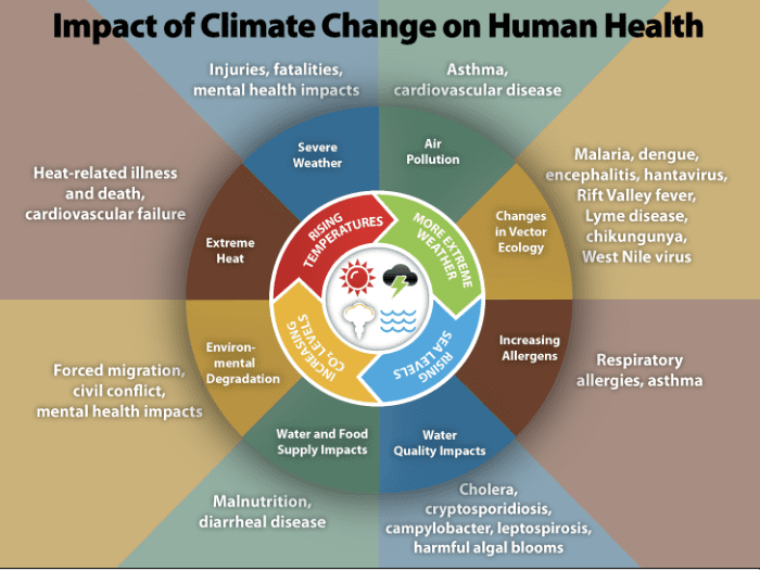 Article 20 - Impact of Climate Change on Human Health