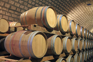 Article #23: Wine in barrels imagery.