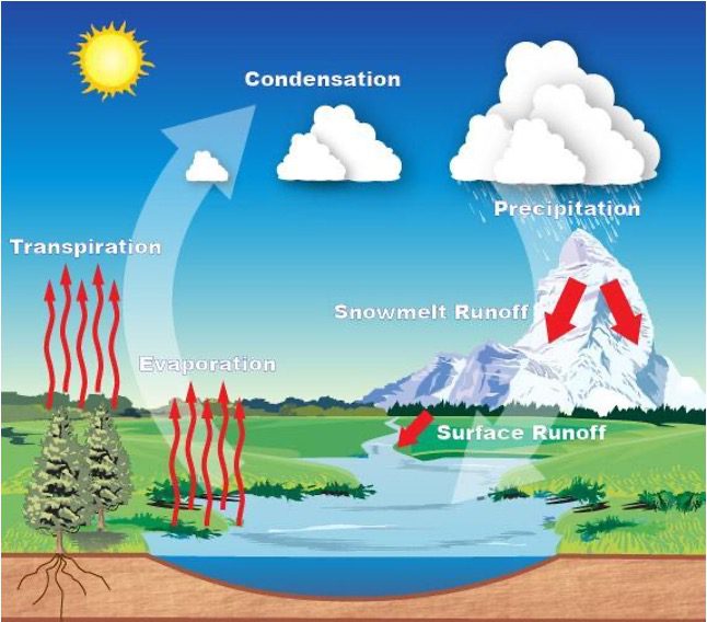 Hydrological Cycle Image